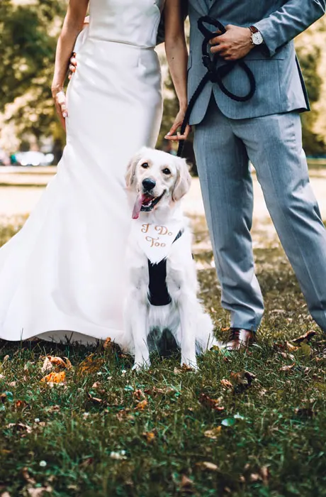 bride and groom are standing with their dog on a leash.